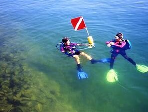 Spearfishing/scuba diving - clear lake